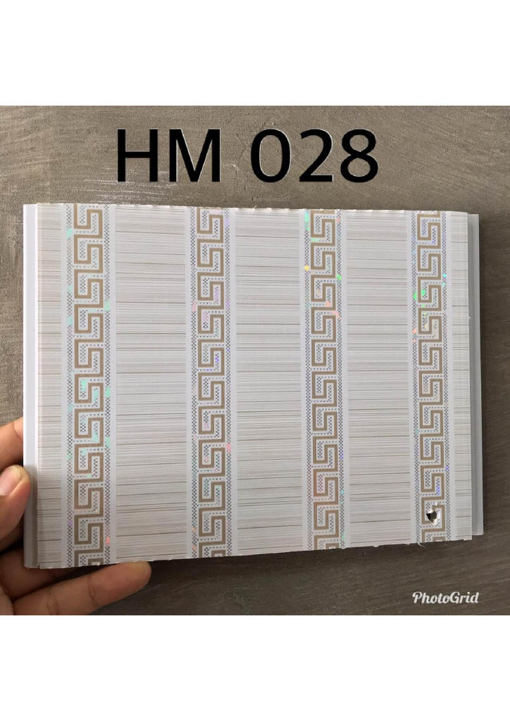 HM028
